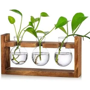 Kingbuy Florero de vidrio en forma de bulbo con soporte_1