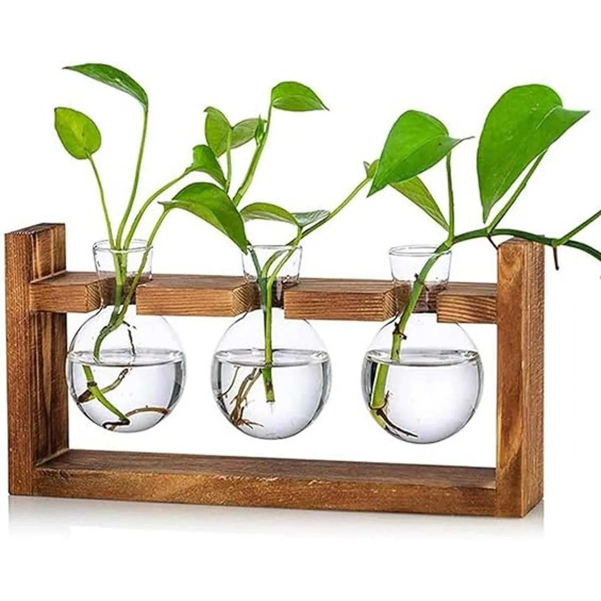 Kingbuy Florero de vidrio en forma de bulbo con soporte_1