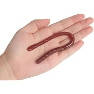 SBYURE 24 piezas de gusanos de tierra falsos de plástico_3