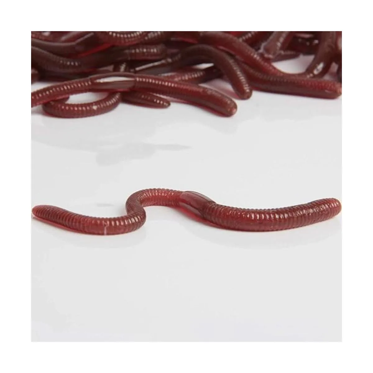 SBYURE 24 piezas de gusanos de tierra falsos de plástico_6