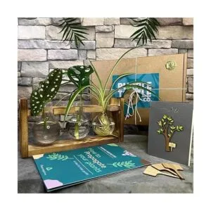 Kingbuy Florero de vidrio en forma de bulbo con soporte_5