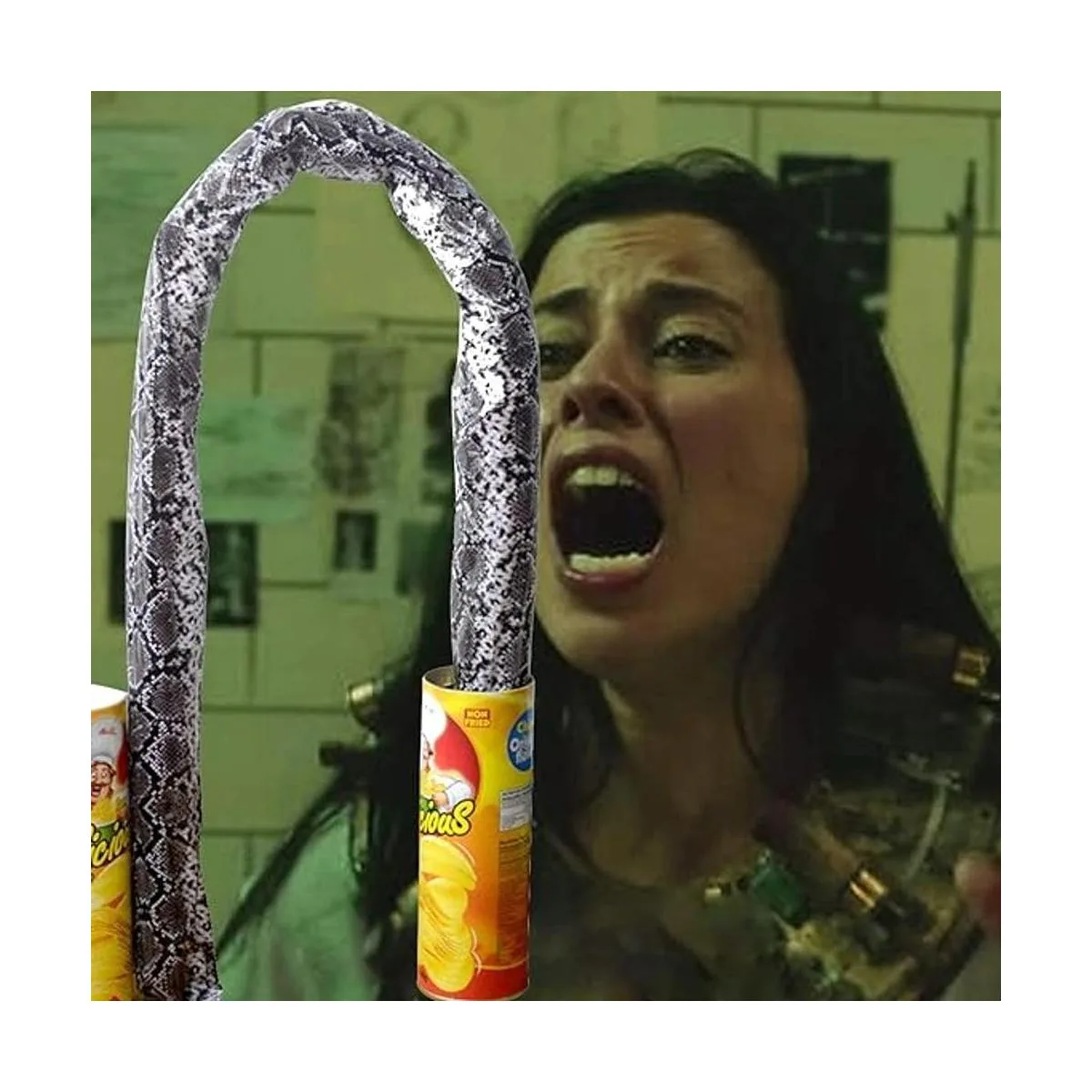 Blppldyci El juguete de serpiente de papas fritas puede