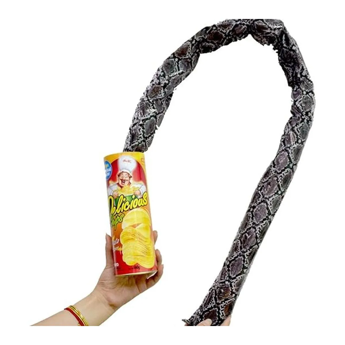 Blppldyci El juguete de serpiente de papas fritas puede