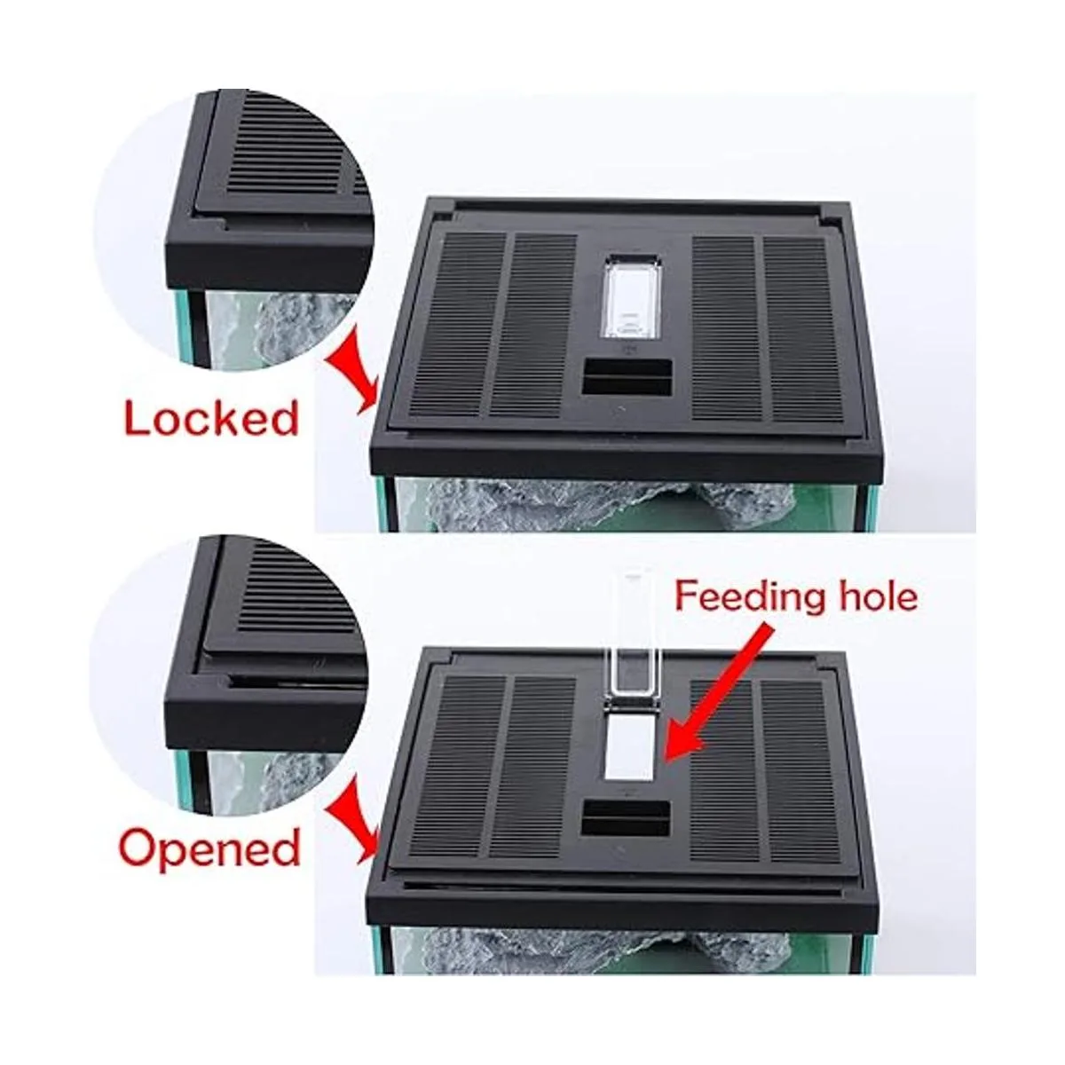 Glass Tank Spider Box Kit for Tarantula Feeder Insects