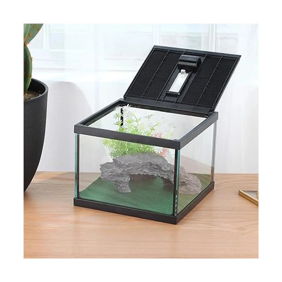 Glass Tank Spider Box Kit for Tarantula Feeder Insects