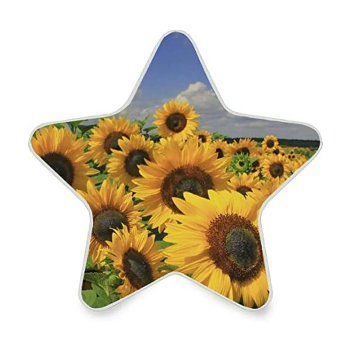 Lámpara de noche LED con enchufe de campo de girasol con_1