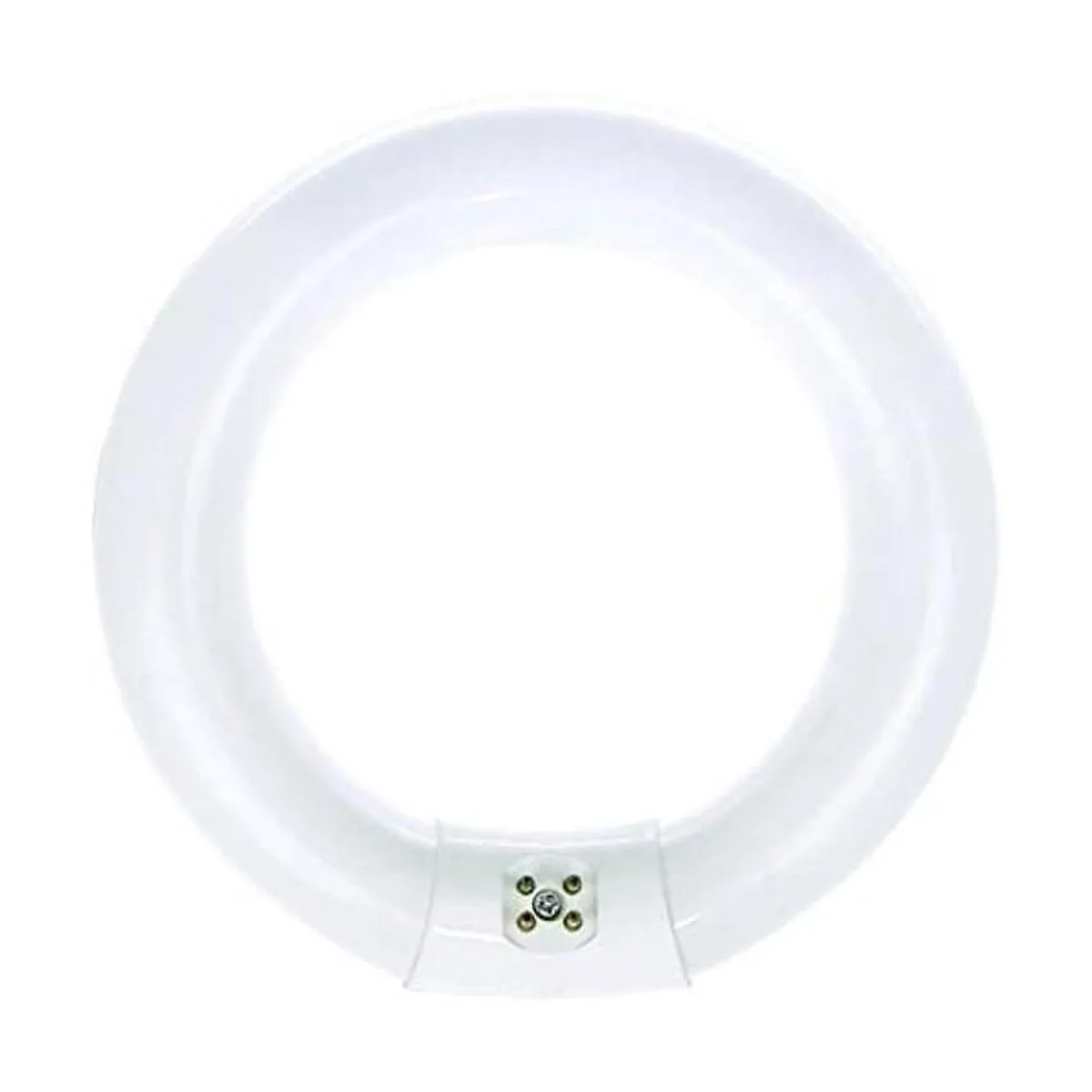 BULBMASTER FC8T9CW Bombilla circular fluorescente