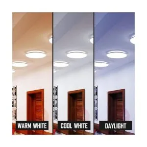 BULBMASTER FC8T9CW Bombilla circular fluorescente