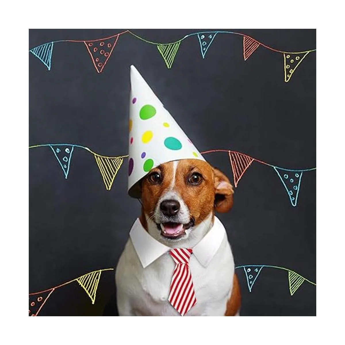 4 piezas de corbatín ajustable para mascotas collar