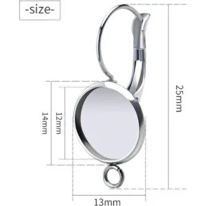 20 aretes de acero inoxidable con cierre de palanca de