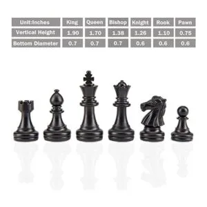 AMEROUS Juego de ajedrez magnético portátil 10 pulgadas_2