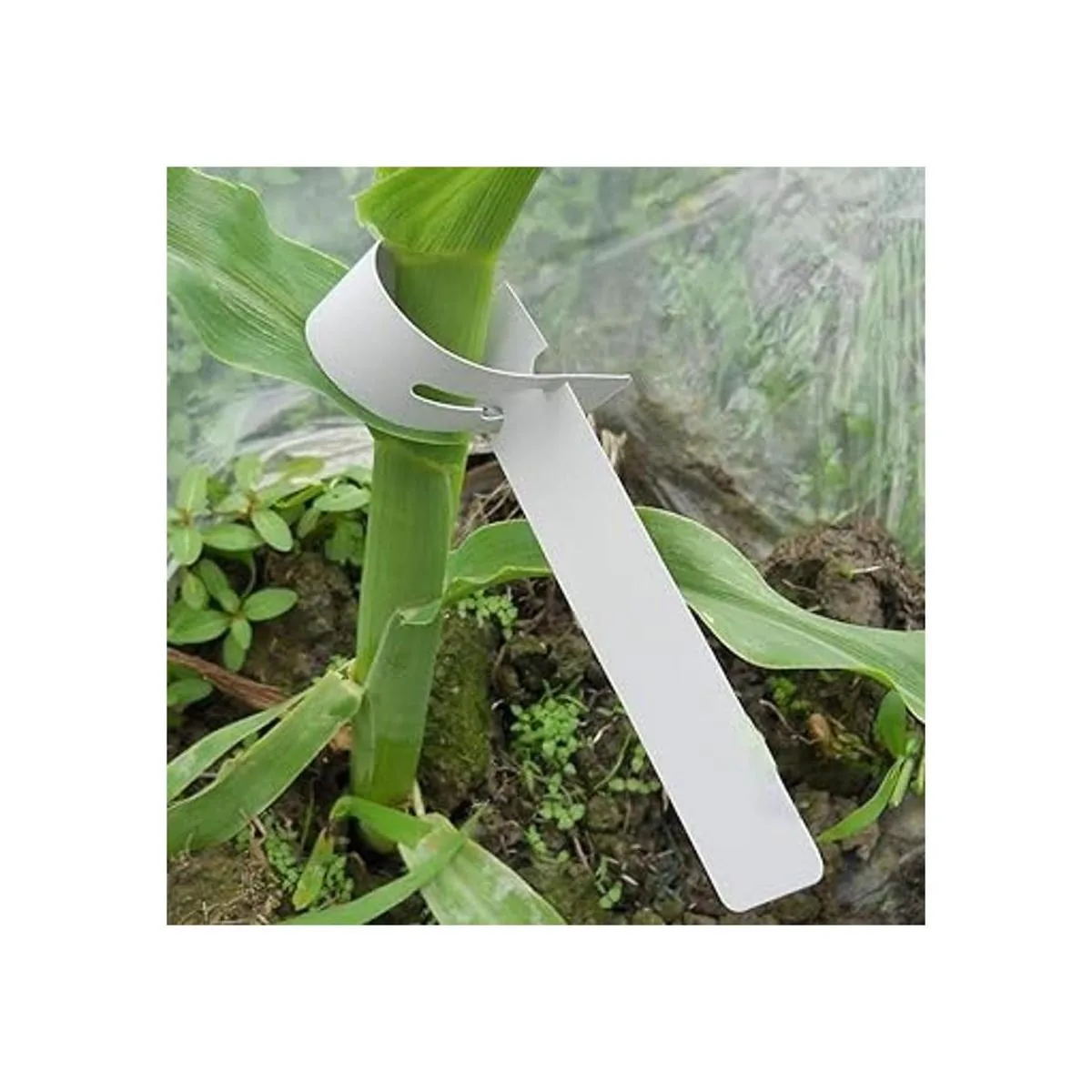 Mziart 200 etiquetas de plástico para plantas envolventes_6
