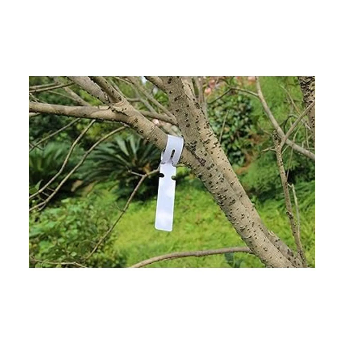 Mziart 200 etiquetas de plástico para plantas envolventes_5