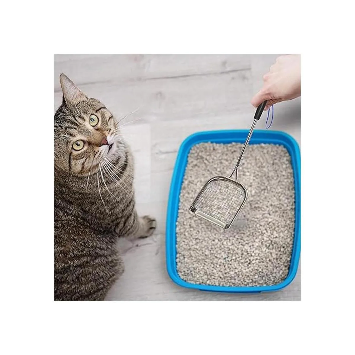 Sand Dipper Cuchara cuadrada para gatos Cuchara larga de