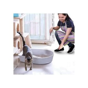 Sand Dipper Cuchara cuadrada para gatos Cuchara larga de