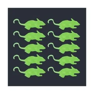 Hocai 10 piezas de rata falsa realista de plástico falso