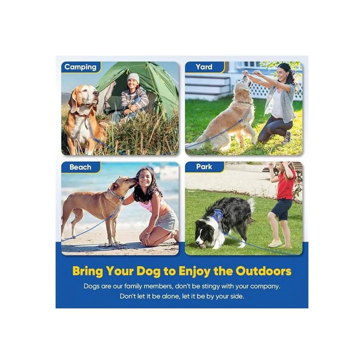 Petbobi Cable de amarre para perro 15 pies 20 pies 25_4