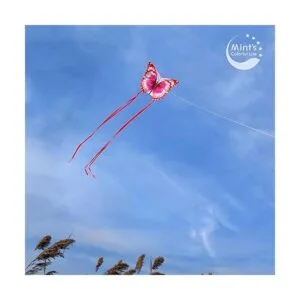 Mints Colorful Life Cometa de mariposa para niños y_3