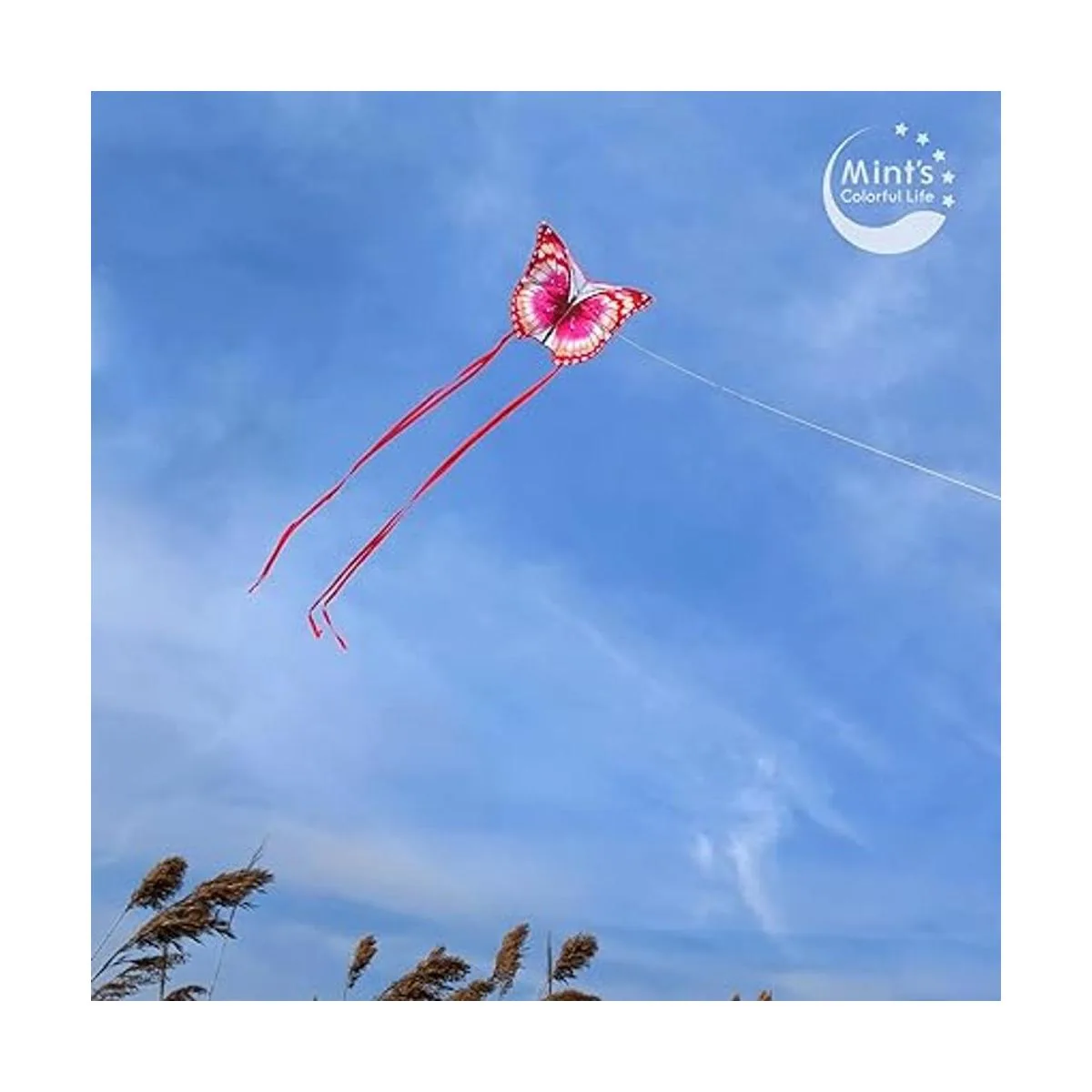 Mints Colorful Life Cometa de mariposa para niños y_3