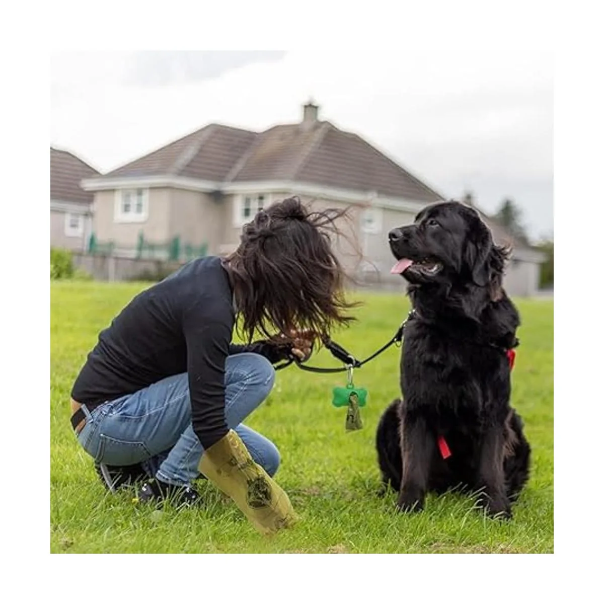 Leys Dog Poop Bags 360 Count Biodegradable Poop bags