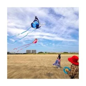 Mints Colorful Life Cometa de mariposa para niños y_6