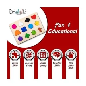 Rompecabezas magnético de madera con forma educativa_5