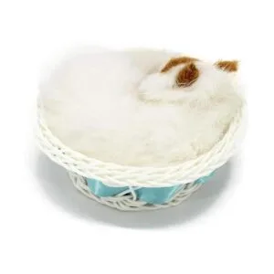 Juguete de muñeca Coolayoung gato dormido en cesta_3