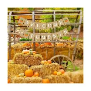 Rainlemon Yute Arpillera Bienvenido Pequeña Calabaza_3