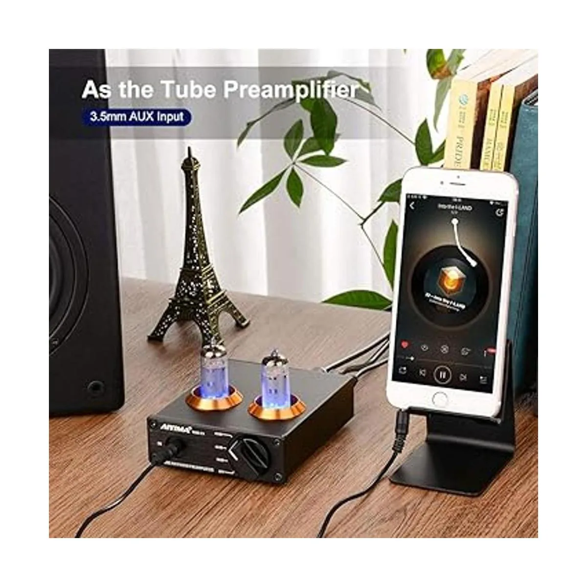 AIYIMA Tube T3 HiFi Tube MM Preamplificador de fono para_6