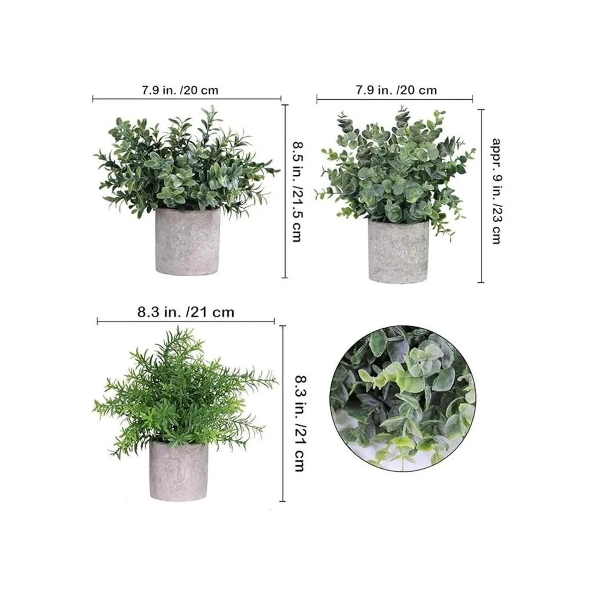 Miniplantas en maceta eucalipto boj y romero en macetas