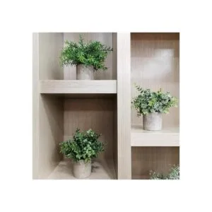 Miniplantas en maceta eucalipto boj y romero en macetas