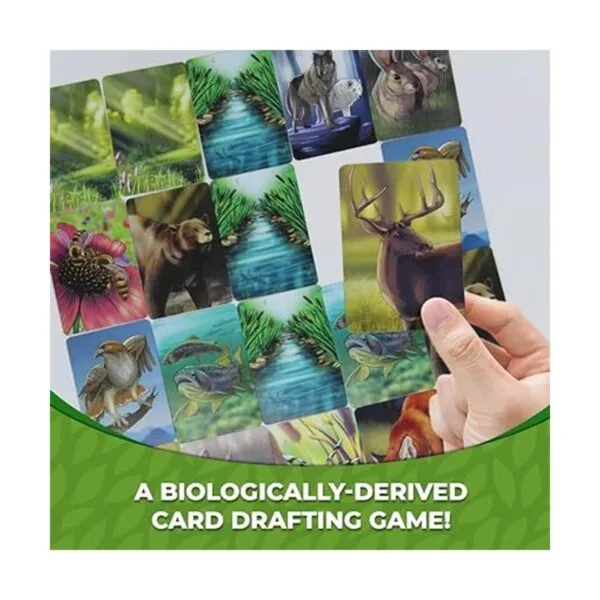 Ecosystem Un juego de cartas familiar sobre animales sus_4