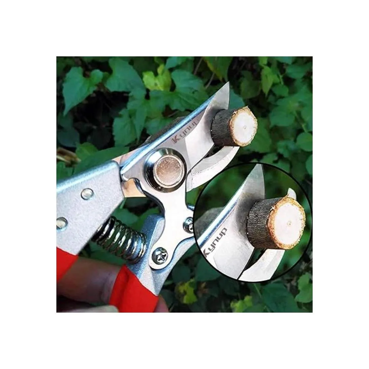 Kynup Tijeras de podar para jardinería tijeras de jardín_6