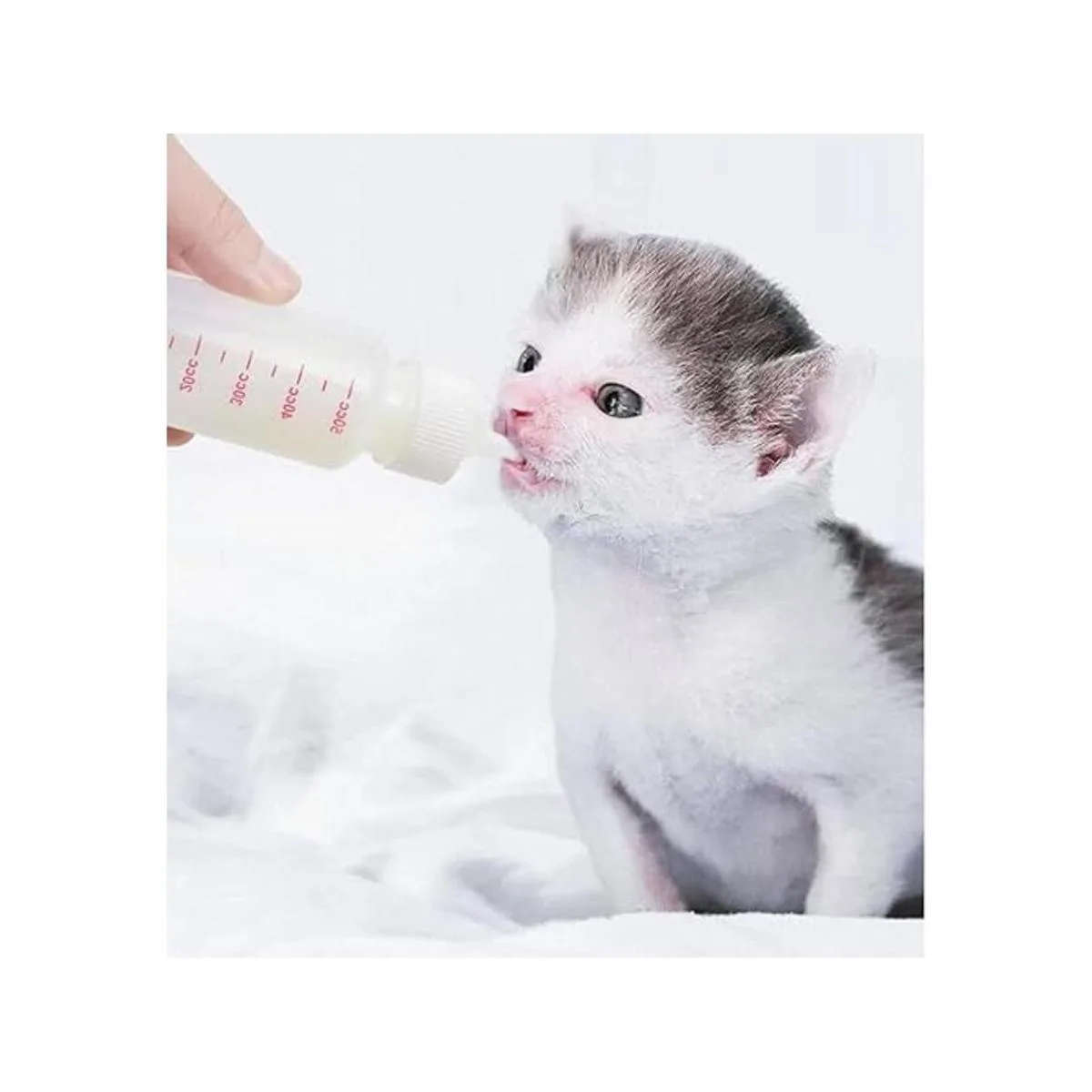 DoubleWood Kit de botellas de lactancia para mascotas_5