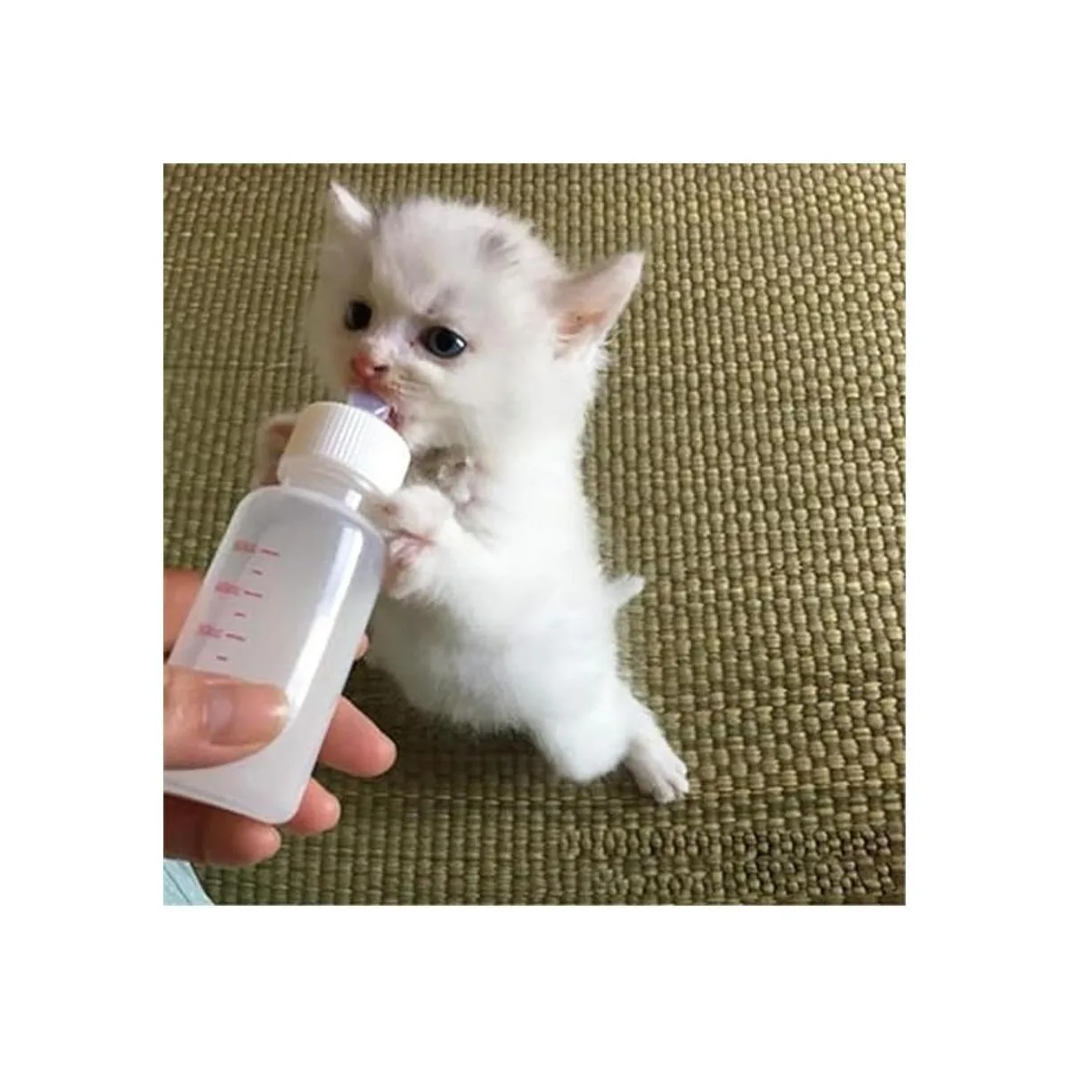 DoubleWood Kit de botellas de lactancia para mascotas_2