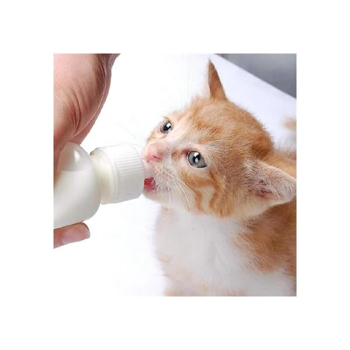 DoubleWood Kit de botellas de lactancia para mascotas_3