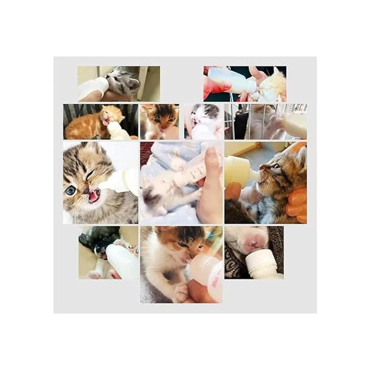 DoubleWood Kit de botellas de lactancia para mascotas_6