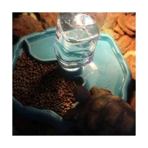 Tfwadmx Botella de agua para reptiles alimentadores