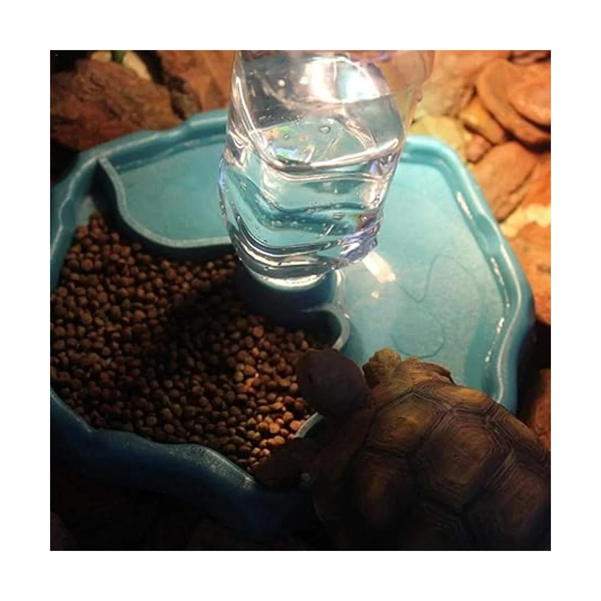 Tfwadmx Botella de agua para reptiles alimentadores