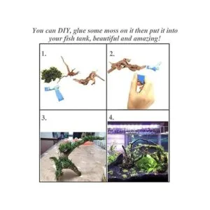 Hamiledyi Paquete de 6 unidades de madera de araña natural