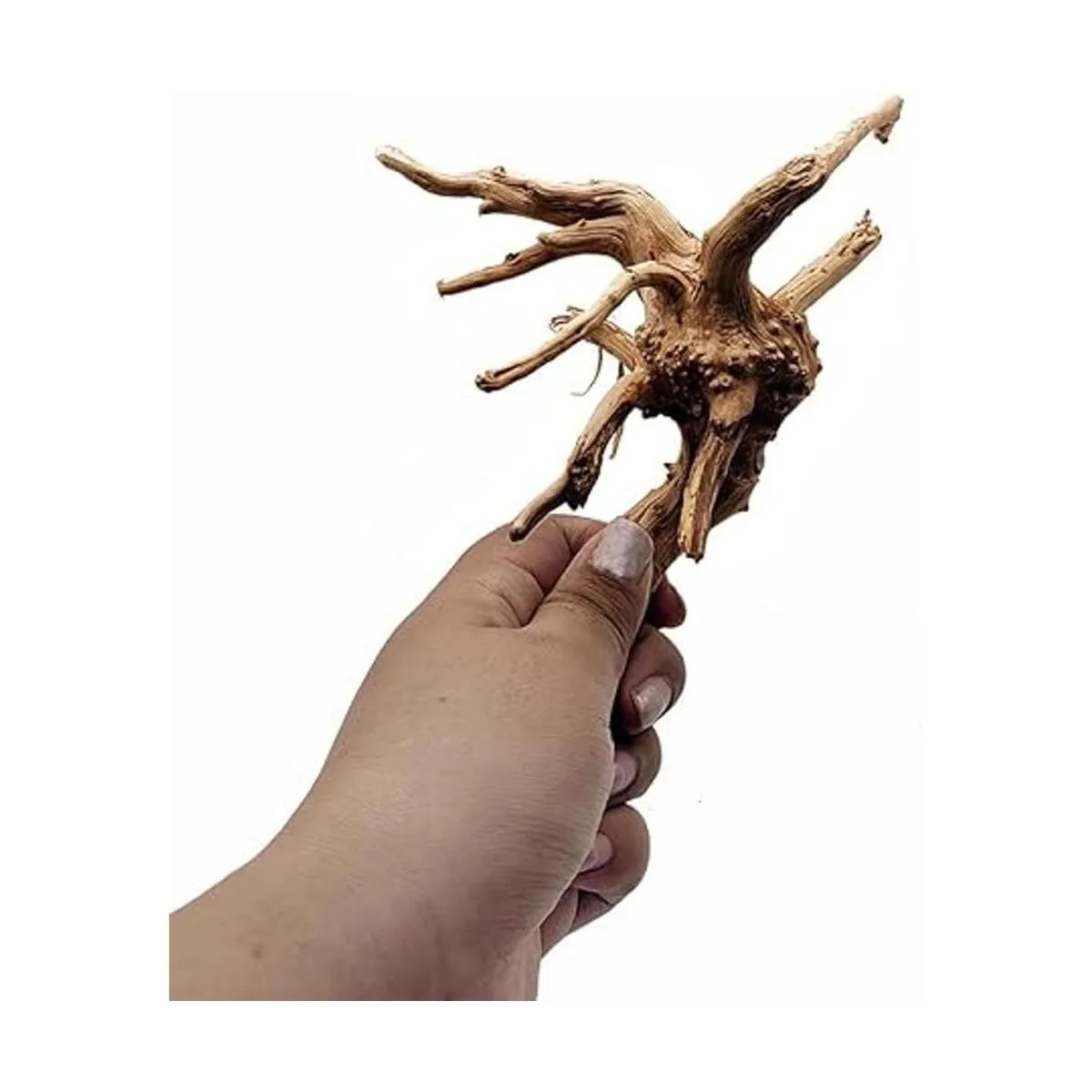 Hamiledyi Paquete de 6 unidades de madera de araña natural