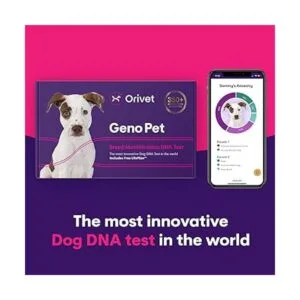 Orivet Genopet Prueba de ADN para perros Kit de prueba_2