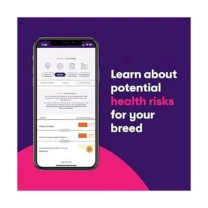 Orivet Genopet Prueba de ADN para perros Kit de prueba_4