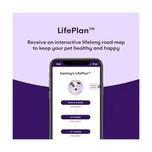 Orivet Genopet Prueba de ADN para perros Kit de prueba_5