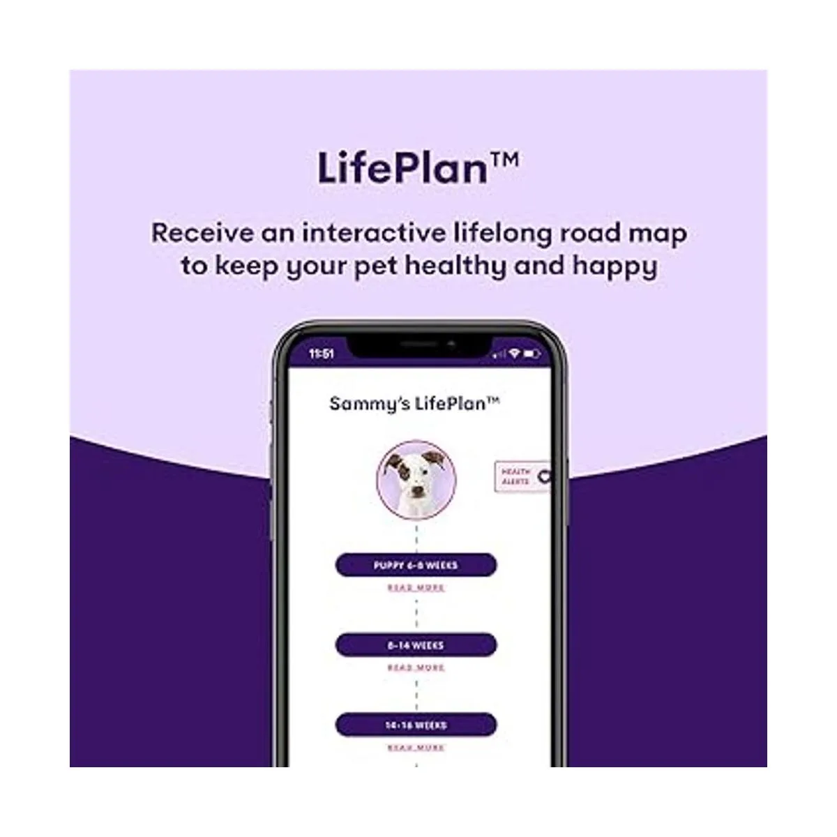 Orivet Genopet Prueba de ADN para perros Kit de prueba_5