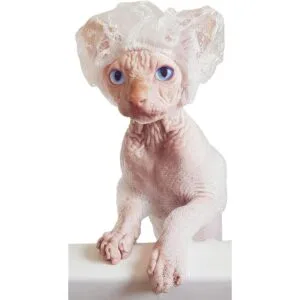 Kotomoda Gorros de ducha para gatos Sphynx y mascotas_1