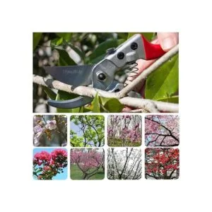 HyleJhJy Tijeras de podar de acero de 8 pulgadas con_2