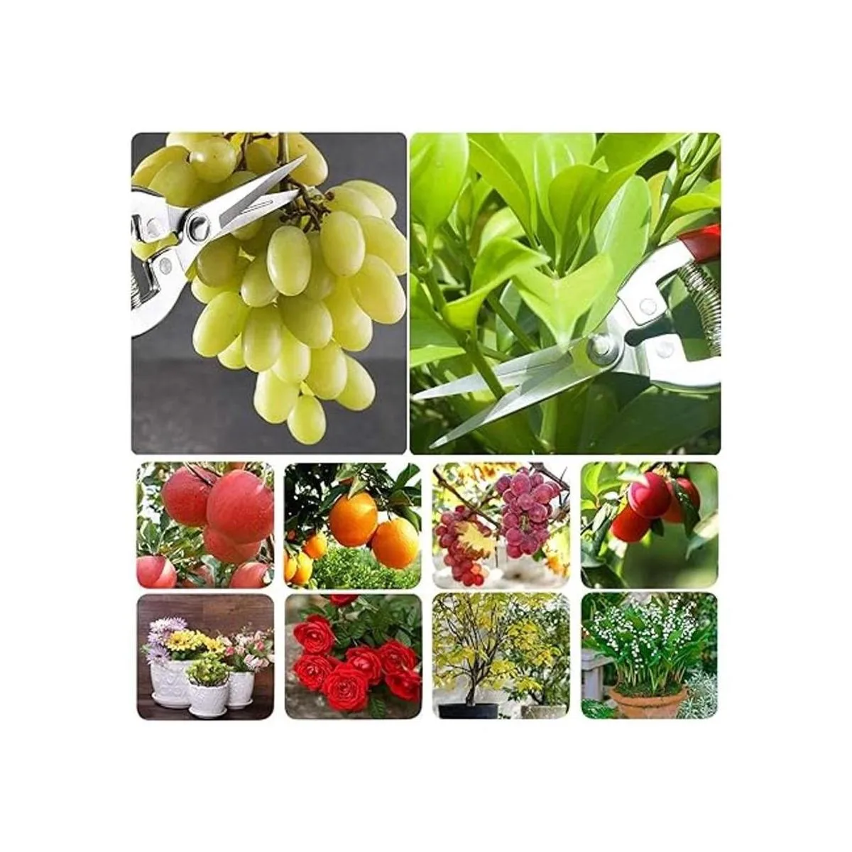 HyleJhJy Tijeras de podar de acero de 8 pulgadas con_3