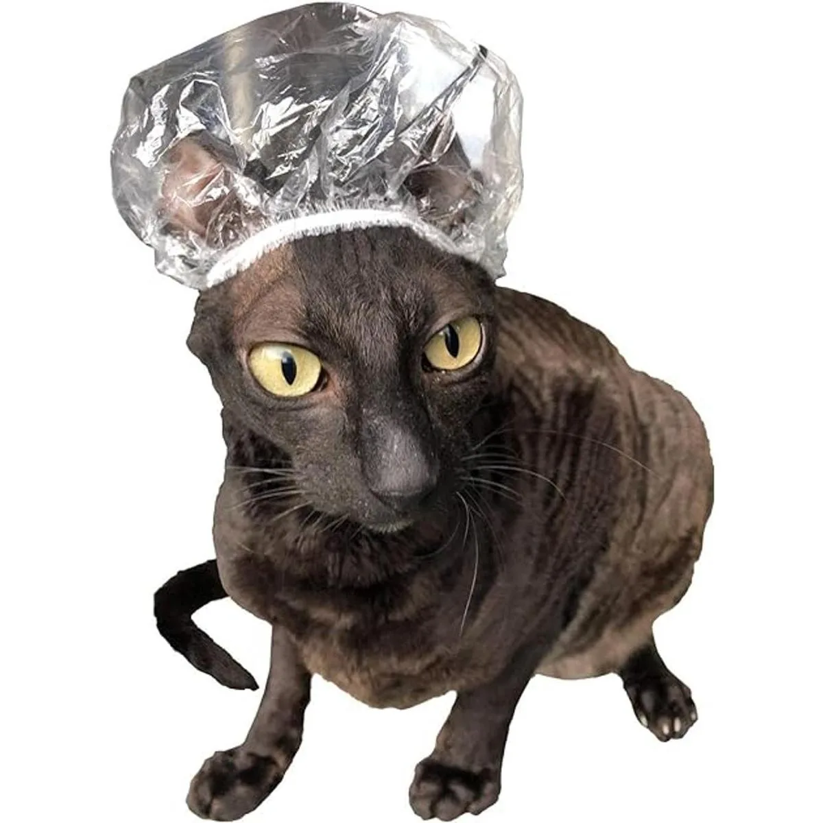 Kotomoda Gorros de ducha para gatos Sphynx y mascotas_2