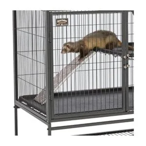 Designer Ferret Nation Critter Nation Cubierta de_4